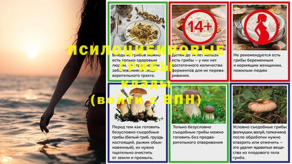 эйфоретик Нефтегорск
