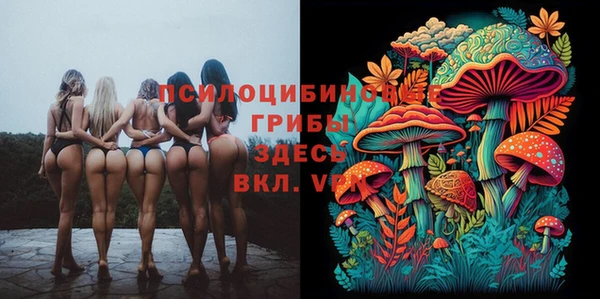 эйфоретик Нефтегорск